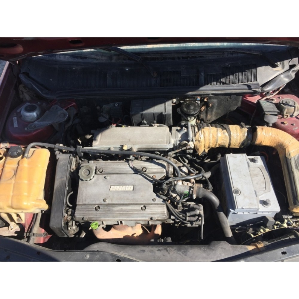 tempra ateşleme beyni