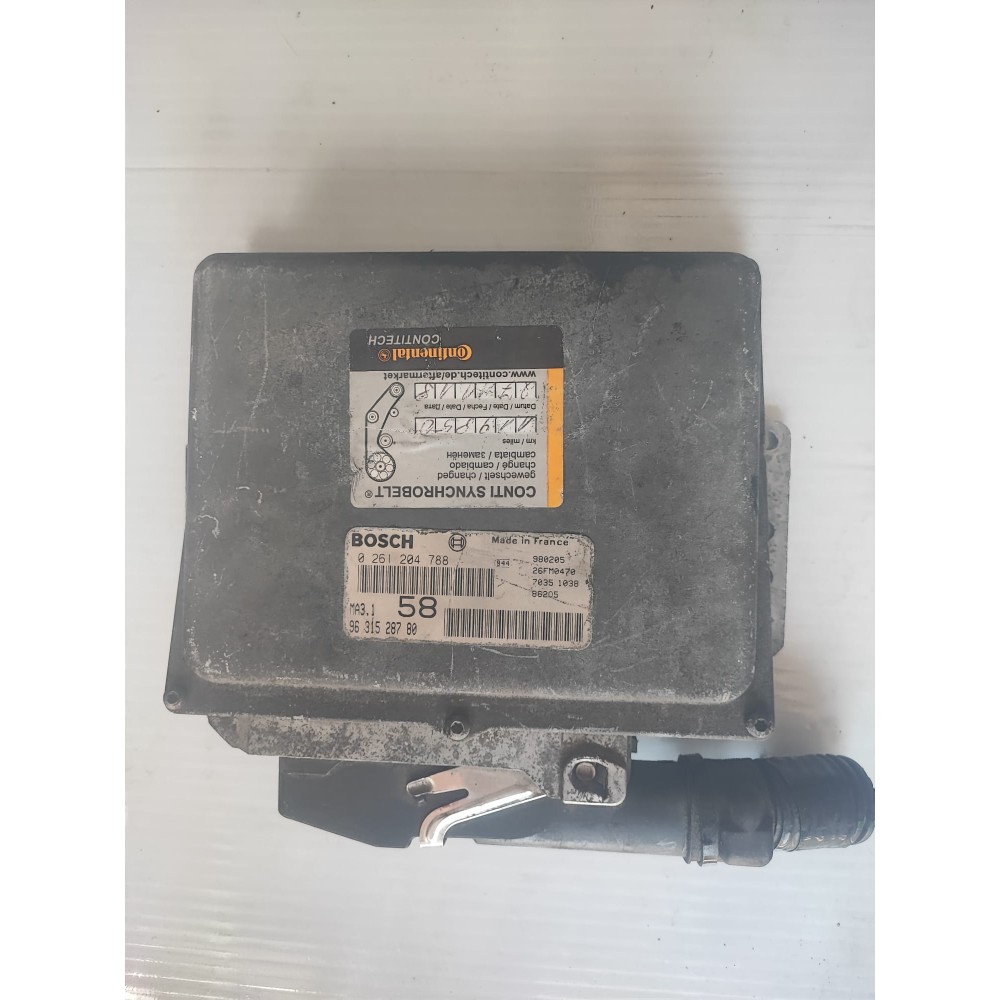 Peugeot / Citroen Bosch MA3.1 Motor Beyni (ECU)